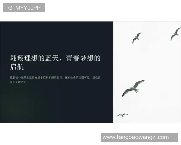 田宇翔的奋斗故事与成长历程揭示了青春的无限可能与梦想的追逐之路