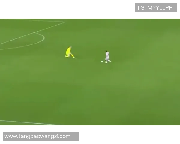 热刺与布莱顿全场对决精彩回顾与战术分析