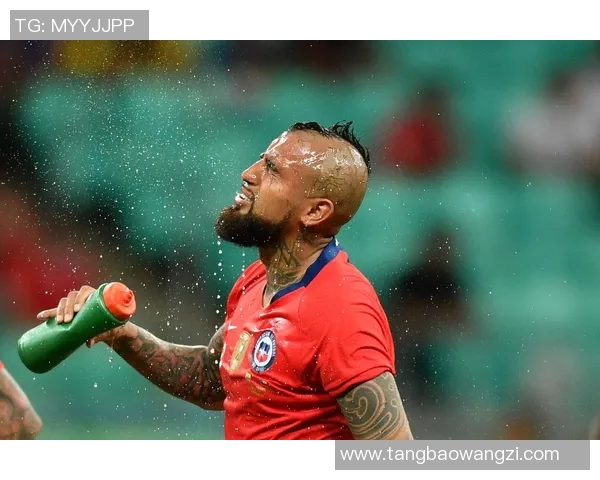 美国与厄瓜多尔足球对决精彩回顾与分析两队实力对比与战术探讨