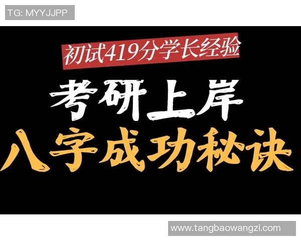 上海篮球队运营分析:成功经验与失误教训的深度剖析