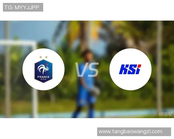 冰岛与法国足球对决比分分析及战术解读 冰岛与法国足球对决比分分析及战术解读