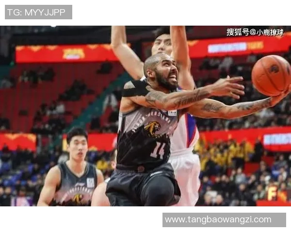 广厦对阵吉林精彩视频直播全程回顾与赛后分析尽在此处