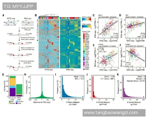 杭州排球队节奏分析:数据揭示球队表现与战术的深度关联MBA