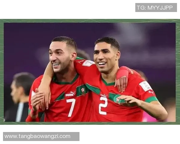 法国队对阵突尼斯队的精彩较量回顾与分析