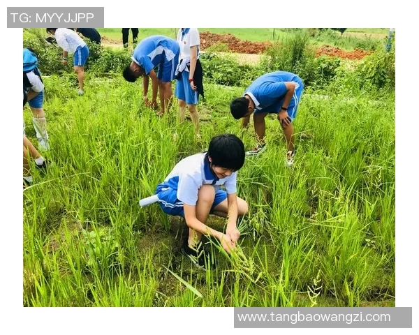 深度对话：黄伟如何在DOTA2世界中追寻梦想与成长