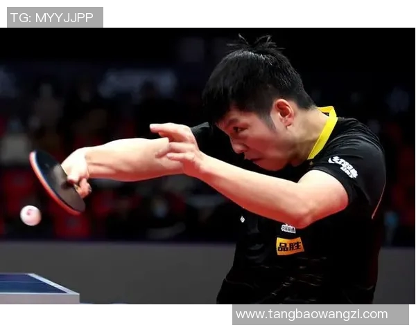 与刘军对话：回顾乒乓球生涯的辉煌与挑战