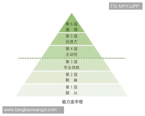 深圳篮球队意识变革引发热议探索新战术与团队协作的未来之路