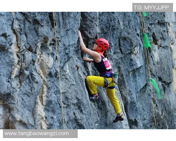 攀岩人生的高峰与低谷陈娜分享她的攀岩故事与心路历程